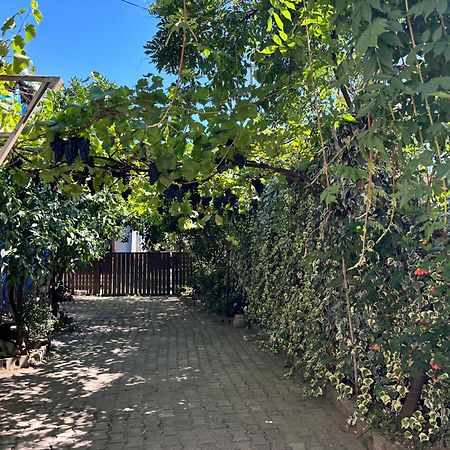 קוטאיסי Downtown Guest House מראה חיצוני תמונה