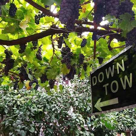 קוטאיסי Downtown Guest House מראה חיצוני תמונה