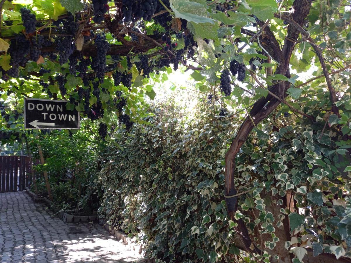 קוטאיסי Downtown Guest House מראה חיצוני תמונה