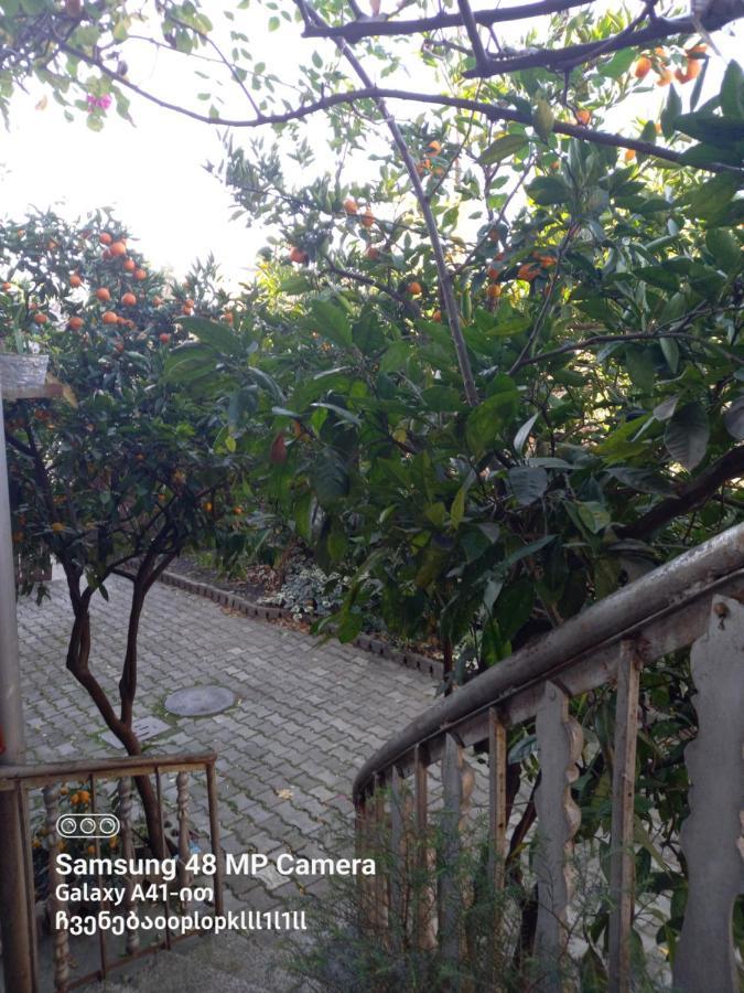 קוטאיסי Downtown Guest House מראה חיצוני תמונה