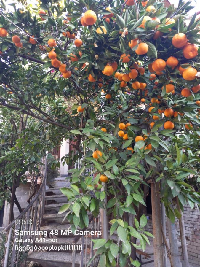 קוטאיסי Downtown Guest House מראה חיצוני תמונה