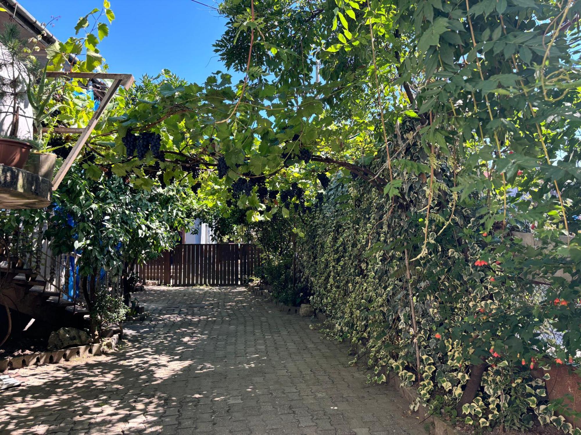 קוטאיסי Downtown Guest House מראה חיצוני תמונה