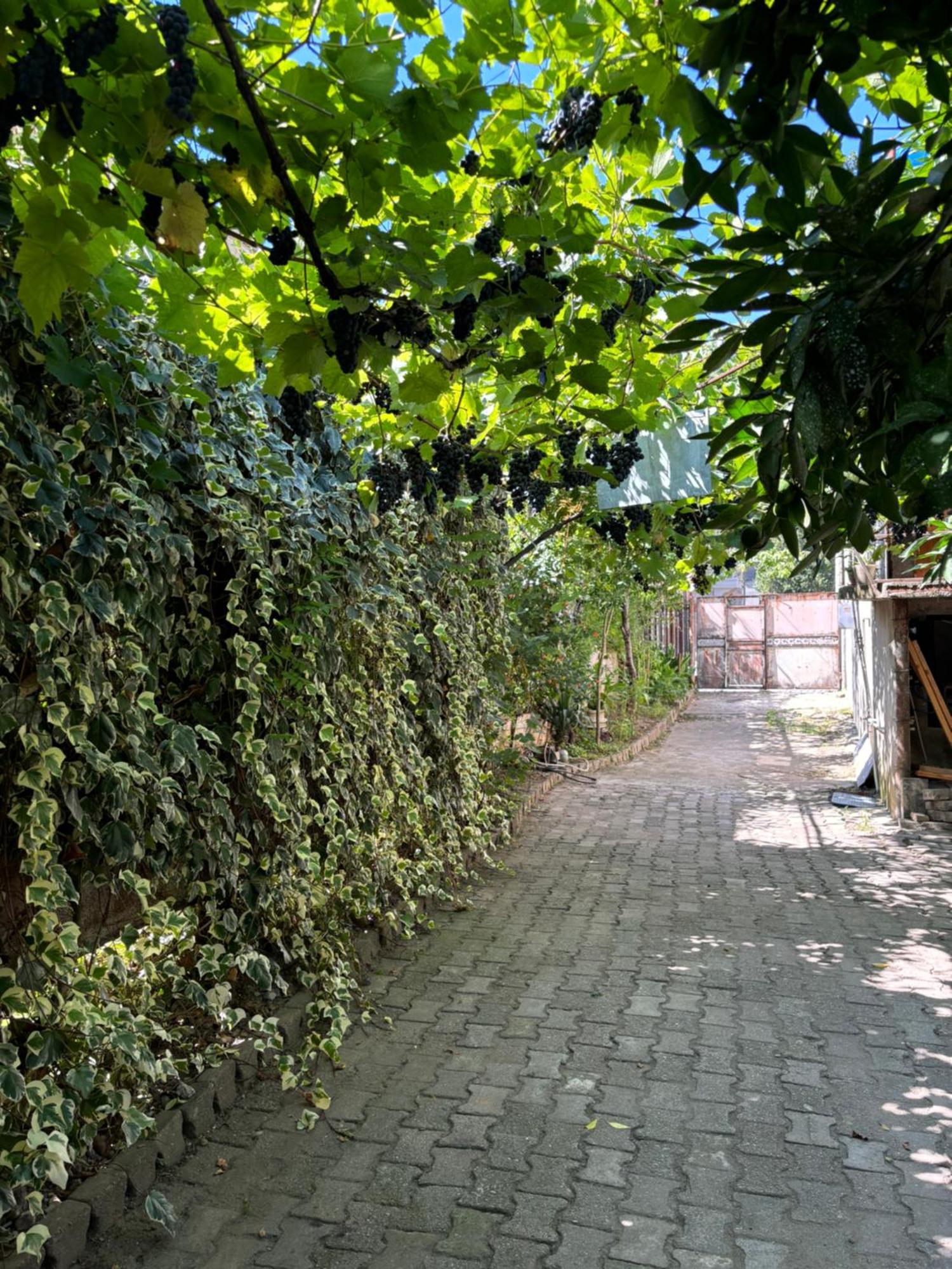 קוטאיסי Downtown Guest House מראה חיצוני תמונה