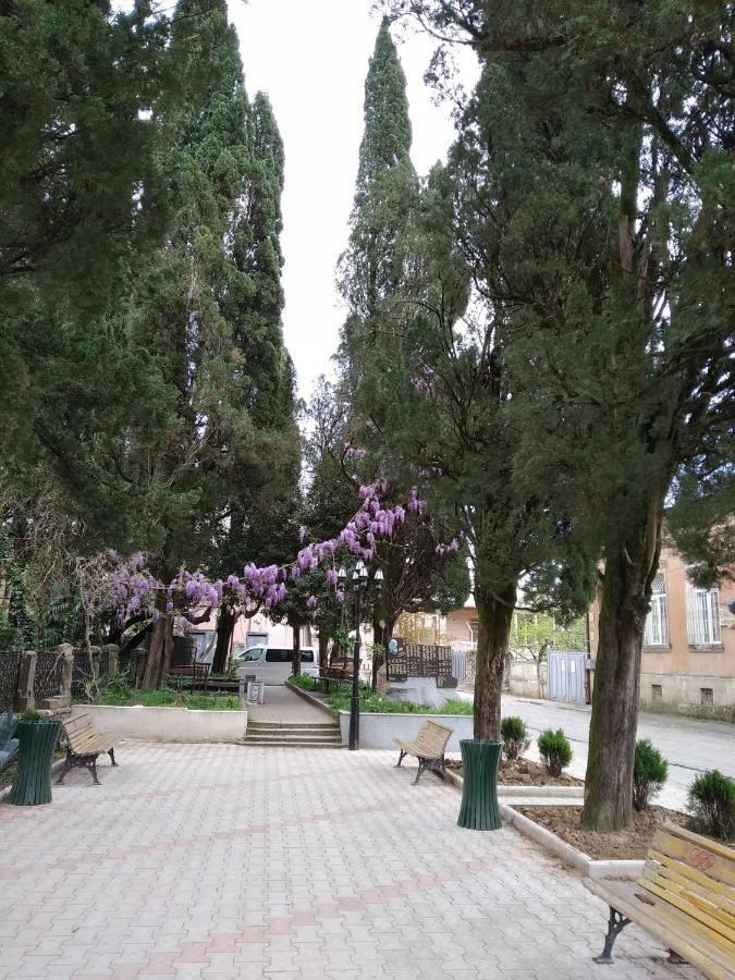 קוטאיסי Downtown Guest House מראה חיצוני תמונה