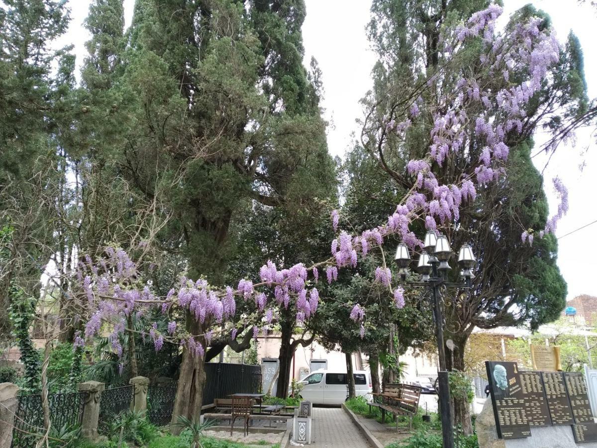 קוטאיסי Downtown Guest House מראה חיצוני תמונה