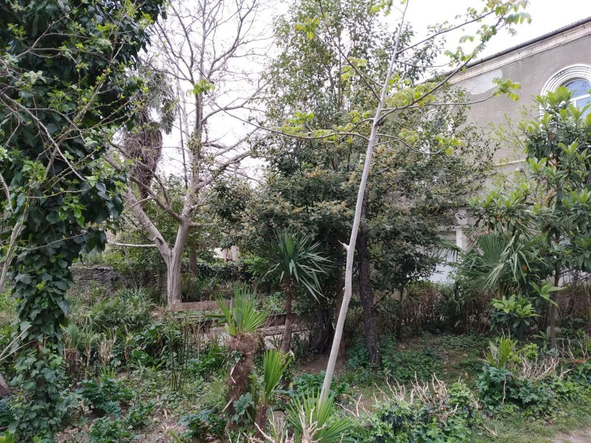 קוטאיסי Downtown Guest House מראה חיצוני תמונה