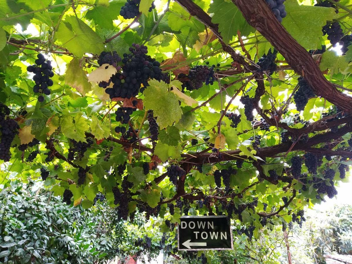 קוטאיסי Downtown Guest House מראה חיצוני תמונה